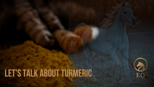 The Golden Herb: Why Turmeric is Great for Horses