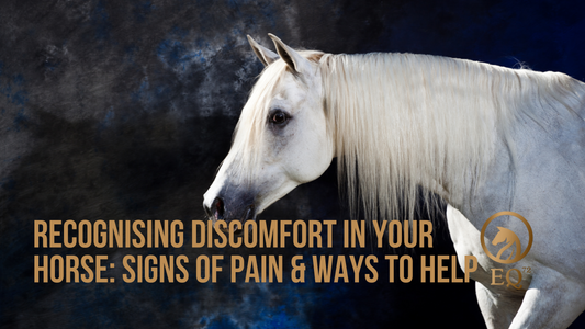 Lets Talk About Recognising Discomfort in Your Horse: Signs of Pain & Ways to Help