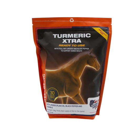 EQUINE AMERICA - TUMERIC XTRA POWDER (3KG)