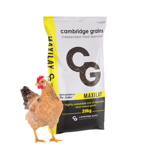 CG MAXILAY POULTRY PELLET & CEREAL MIX (20KG)